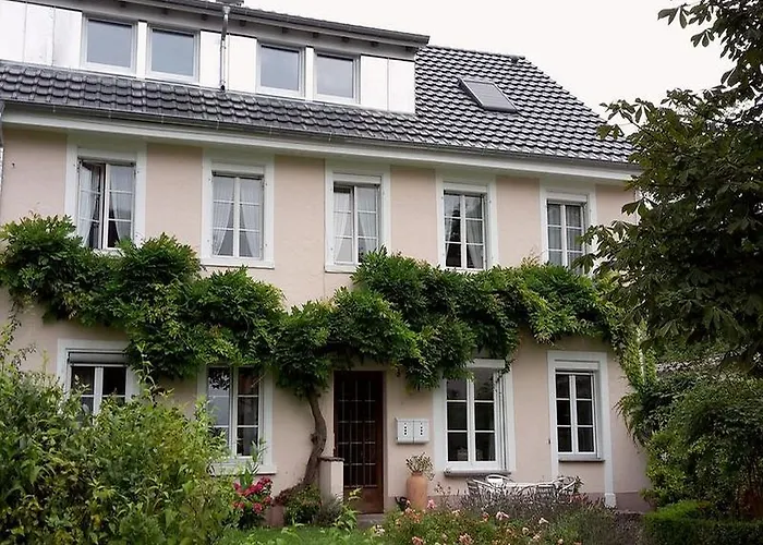 Unterm Blauregen